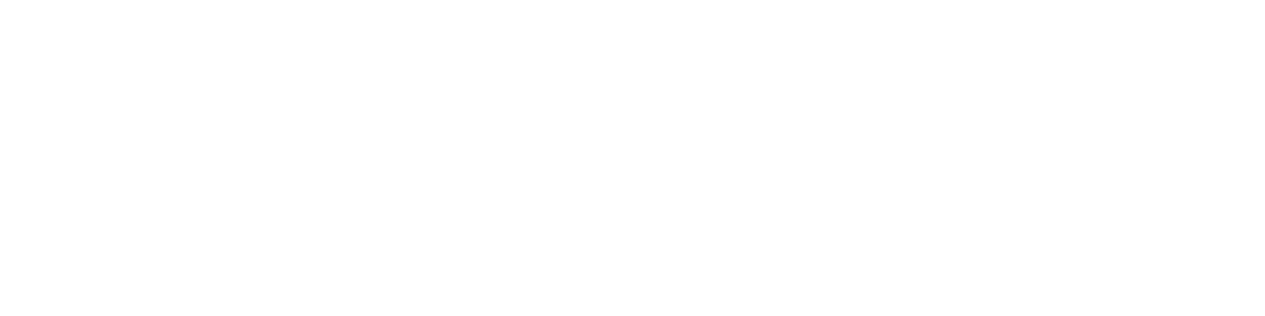 ركي فند